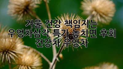 겨울 건강 책임지는 🔥우엉차삼각 특가! 놓치면 후회! #건강차 #우엉차